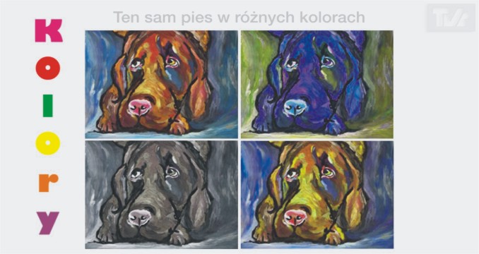 WARSZTATY PLASTYCZNE