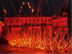 LIGHT MOVE FESTIVAL 2024